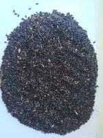 Суданская трава КИНЕЛЬСКАЯ 100​